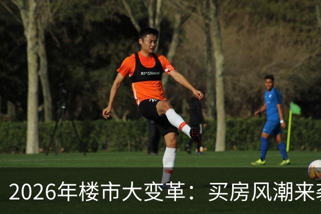 2026年楼市大变革：买房风潮来袭，别再做梦